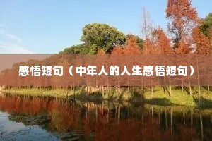 ̾䣨˵̾䣩