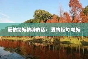 爱情简短精辟的话: 爱情短句 精短 爱情简短精辟的话: 爱情短句 精短