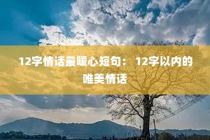 12黰ůĶ̾䣺 12ڵΨ黰