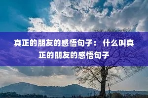 ���������ѵĸ�����ӣ� ʲô�����������ѵĸ������