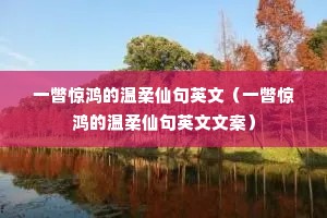 一瞥惊鸿的温柔仙句英文(一瞥惊鸿的温柔仙句英文文案) 一瞥惊鸿的温柔仙句英文(一瞥惊鸿的温柔仙句英文文案)