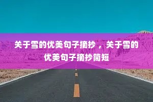 ����ѩ����������ժ�� ������ѩ����������ժ�����