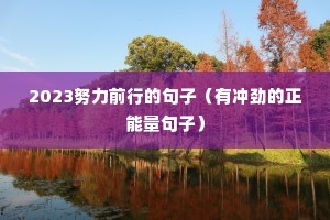 2023Ŭ��ǰ�еľ��ӣ��г徢�����������ӣ�