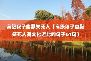 �߼�������ĬЦ���ˣ��߼�������ĬЦ�������Ļ����ȵľ���61�䣩