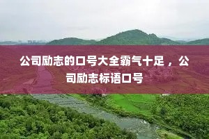 ��˾��־�ĿںŴ�ȫ����ʮ�� ����˾��־����ں�