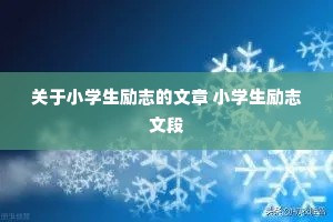 ����Сѧ����־������ Сѧ����־�Ķ�