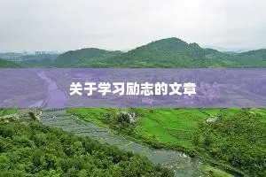 ����ѧϰ��־������
