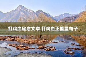 ��Ѫ��־���� ��Ѫ����������