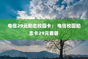 ����29Ԫ��־У԰���� ����У԰��־��29Ԫ�ײ�