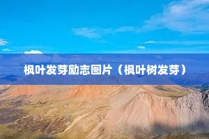 ��Ҷ��ѿ��־ͼƬ����Ҷ����ѿ��
