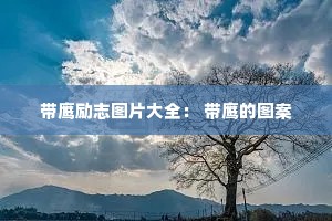 带鹰励志图片大全: 带鹰的图案 带鹰励志图片大全: 带鹰的图案