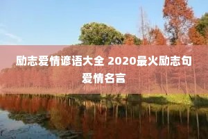 ��־���������ȫ 2020�����־�䰮������