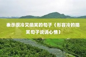 ʾָЦľӣĸЦ˵˵飩