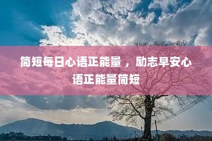 ���ÿ������������ ����־�簲�������������