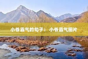 小爷霸气的句子: 小爷霸气图片 小爷霸气的句子: 小爷霸气图片