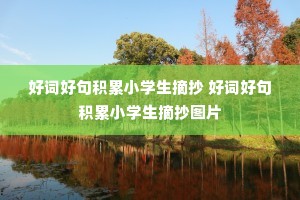 �ôʺþ����Сѧ��ժ�� �ôʺþ����Сѧ��ժ��ͼƬ