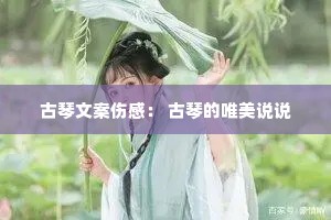 古琴文案伤感: 古琴的唯美说说 古琴文案伤感: 古琴的唯美说说