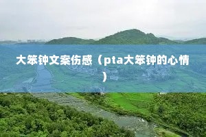 大笨钟文案伤感(pta大笨钟的心情) 大笨钟文案伤感(pta大笨钟的心情)