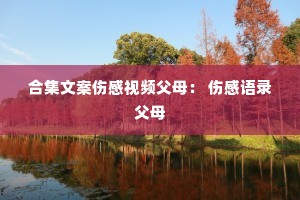 �ϼ��İ��˸���Ƶ��ĸ�� �˸���¼��ĸ