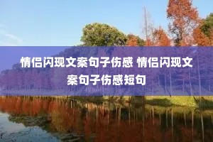 ���������İ������˸� ���������İ������˸ж̾�