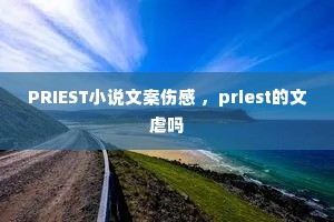 PRIESTС˵�İ��˸� ��priest����Ű��