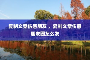 复制文案伤感朋友 ,复制文案伤感朋友圈怎么发 复制文案伤感朋友 ,复制文案伤感朋友圈怎么发