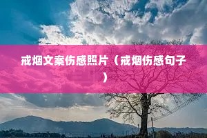 �����İ��˸���Ƭ�������˸о��ӣ�