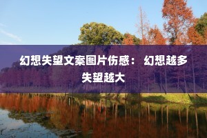 ����ʧ���İ�ͼƬ�˸У� ����Խ��ʧ��Խ��