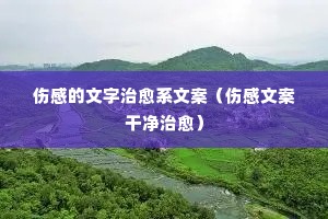 �˸е���������ϵ�İ����˸��İ��ɾ�������