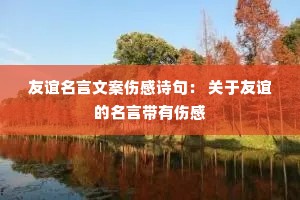 ���������İ��˸�ʫ�䣺 ������������Դ����˸�