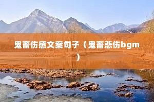 �����˸��İ����ӣ�������bgm��