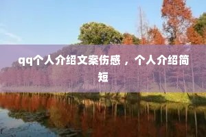 qq���˽����İ��˸� �����˽��ܼ��