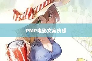 PMP��Ӱ�İ��˸�