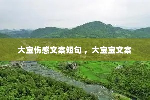 ���˸��İ��̾� ���󱦱��İ�