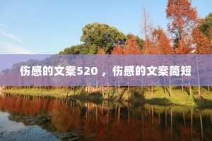 �˸е��İ�520 ���˸е��İ����