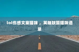 lol�˸��İ�è�� ��Ӣ������è����¼