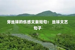 ��˿����˸��İ��̾䣺 ˿�����վ���