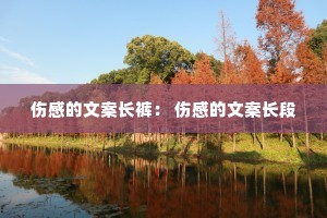 �˸е��İ����㣺 �˸е��İ�����