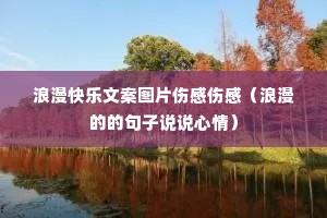 ���������İ�ͼƬ�˸��˸У������ĵľ���˵˵���飩