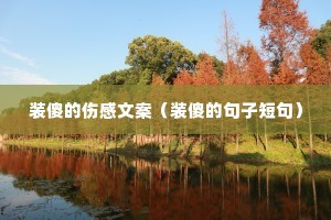 װɵ���˸��İ���װɵ�ľ��Ӷ̾䣩