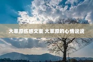 ���ԭ�˸��İ� ���ԭ������˵˵