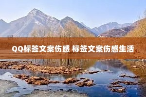 QQ标签文案伤感 标签文案伤感生活 QQ标签文案伤感 标签文案伤感生活