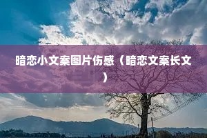 ����С�İ�ͼƬ�˸У������İ����ģ�