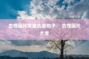 �Ź�ͼƬ�İ��˸о��ӣ� �Ź�ͼƬ��ȫ