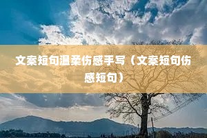 �İ��̾������˸���д���İ��̾��˸ж̾䣩