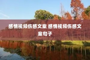 ������Ƶ�˸��İ� ������Ƶ�˸��İ�����