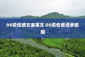 00���˸��İ�Ӣ�� 00���˸���¼��ͼ