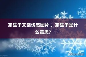 �������İ��˸�ͼƬ ����������ʲô��˼?