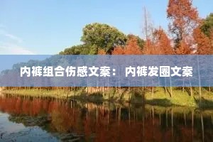 内裤组合伤感文案: 内裤发圈文案 内裤组合伤感文案: 内裤发圈文案