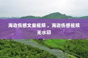 海边伤感文案视频 ,海边伤感视频无水印 海边伤感文案视频 ,海边伤感视频无水印
